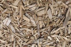 biomass boilers Rokemarsh